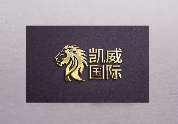 集团简介